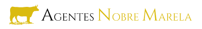 logo-dark